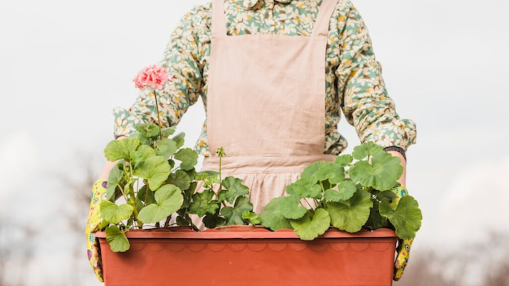 Comment profiter pleinement de son balcon fleuri au printemps et en été ?