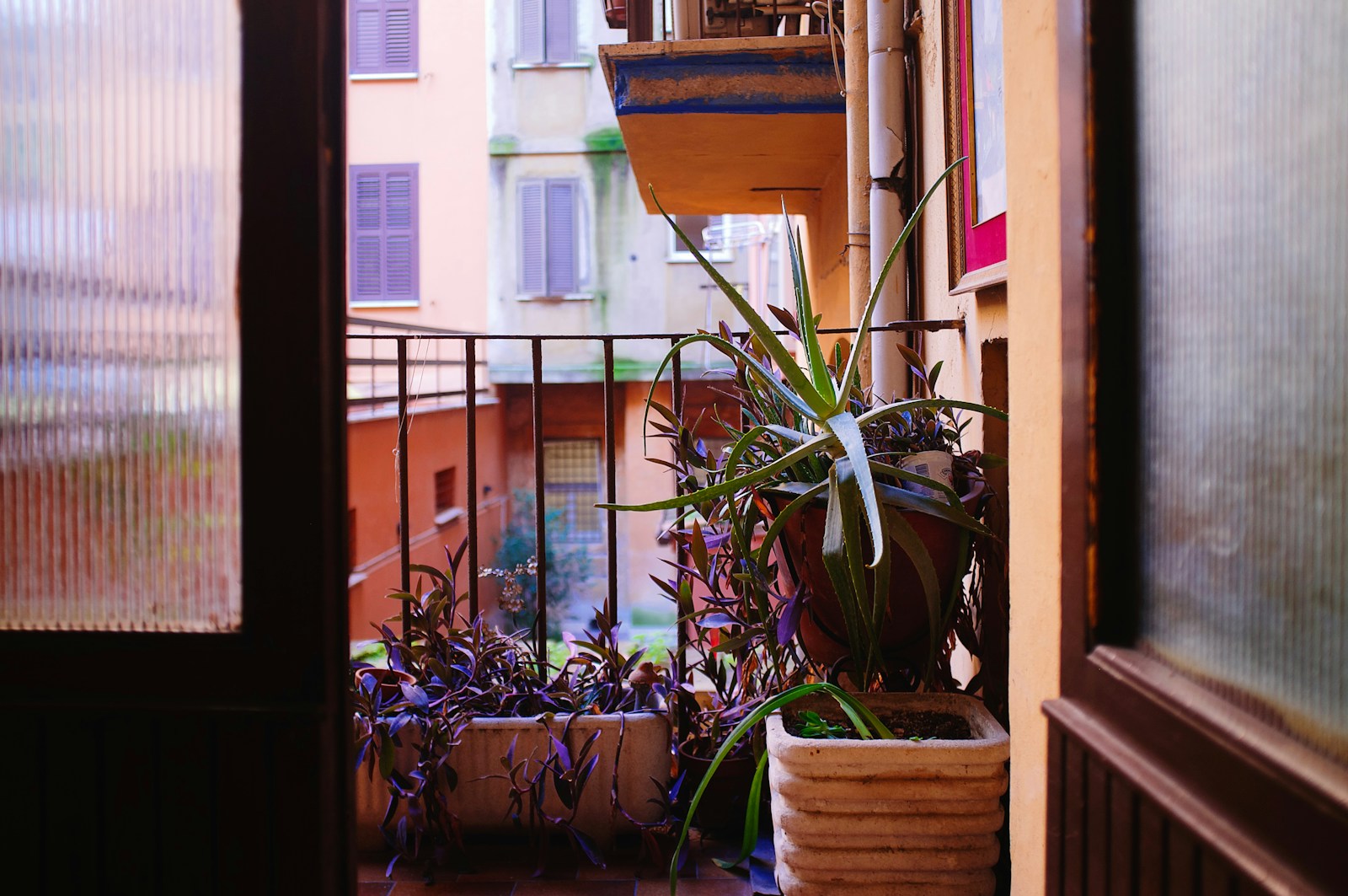 Balcon planté en strates avec une grimpante, des jardinières et des pots au sol.