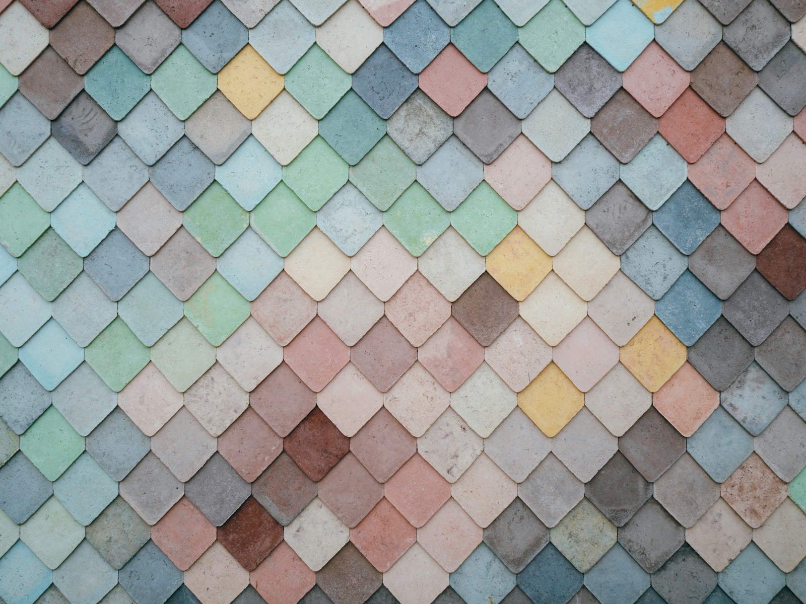 Contremarches d'escalier habillées de carreaux à motifs.
