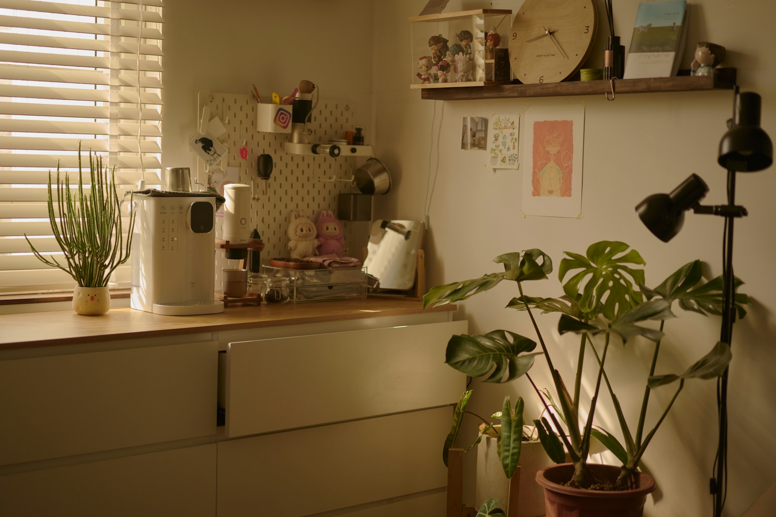 Cuisine rangée avec plan de travail en bois et étagères ouvertes.