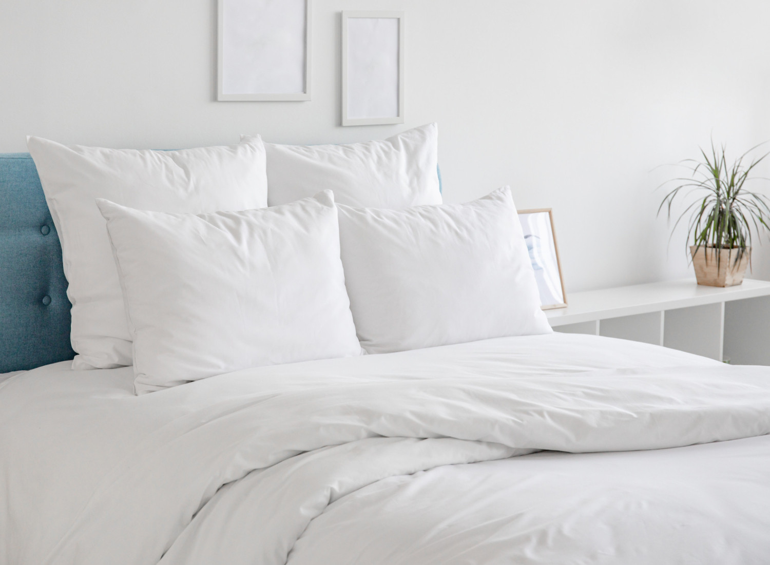 Des oreillers blancs et une couette sur un lit sur une tete de lit bleue