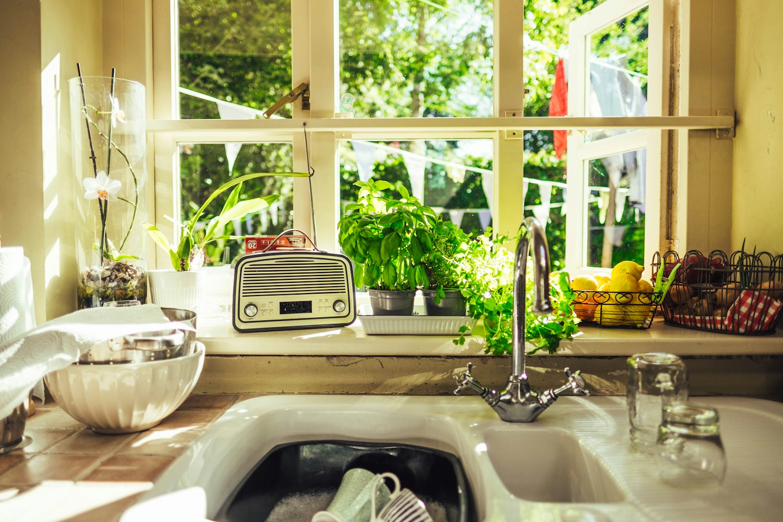 Herbes aromatiques en pot sur le rebord d'une fenêtre de cuisine