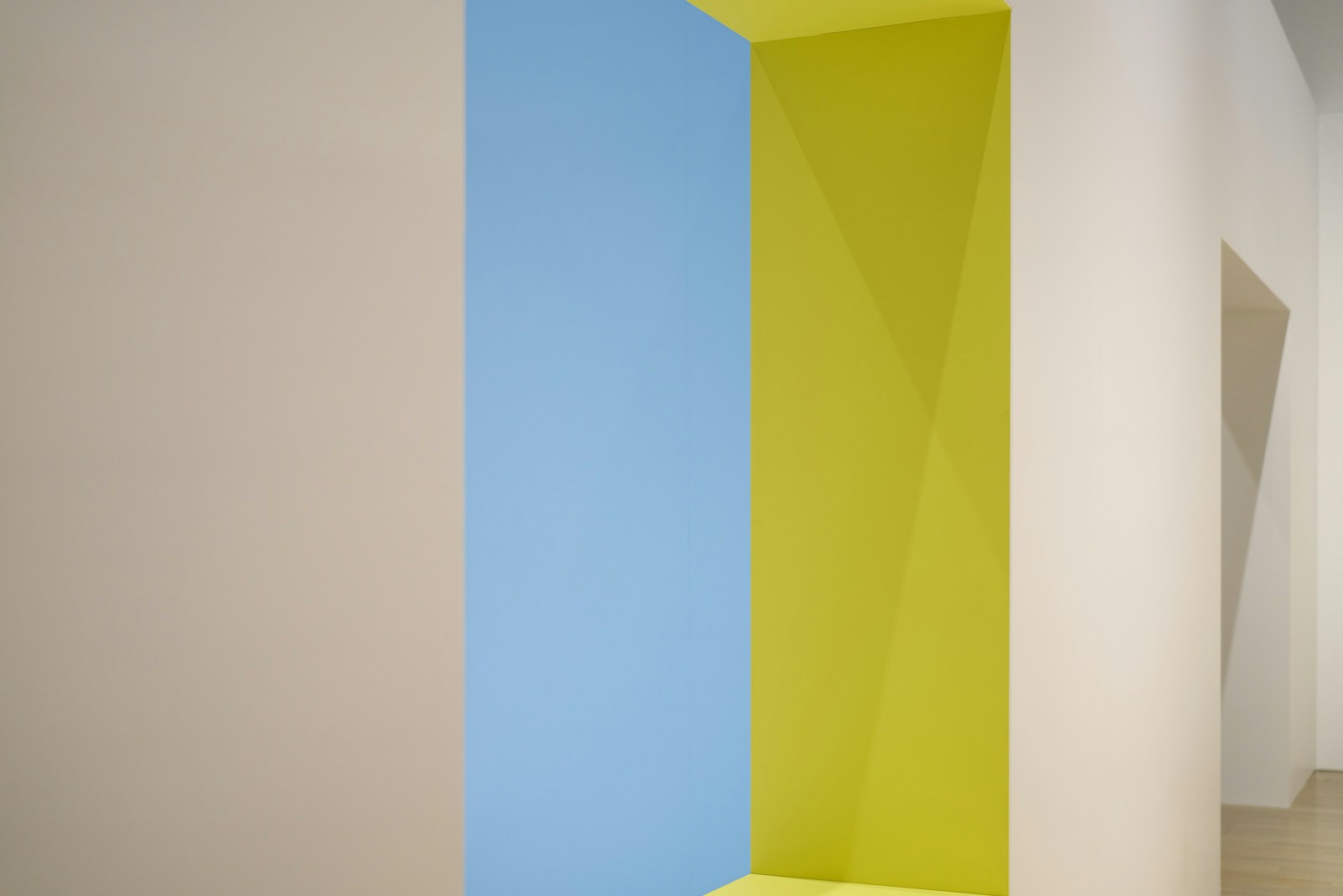 Mur d'accent coloré derrière une cuvette blanche