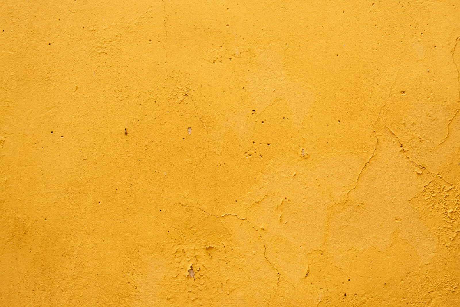 Mur de salon peint à la chaux dans une teinte terreuse, texture vibrante à la lumière.