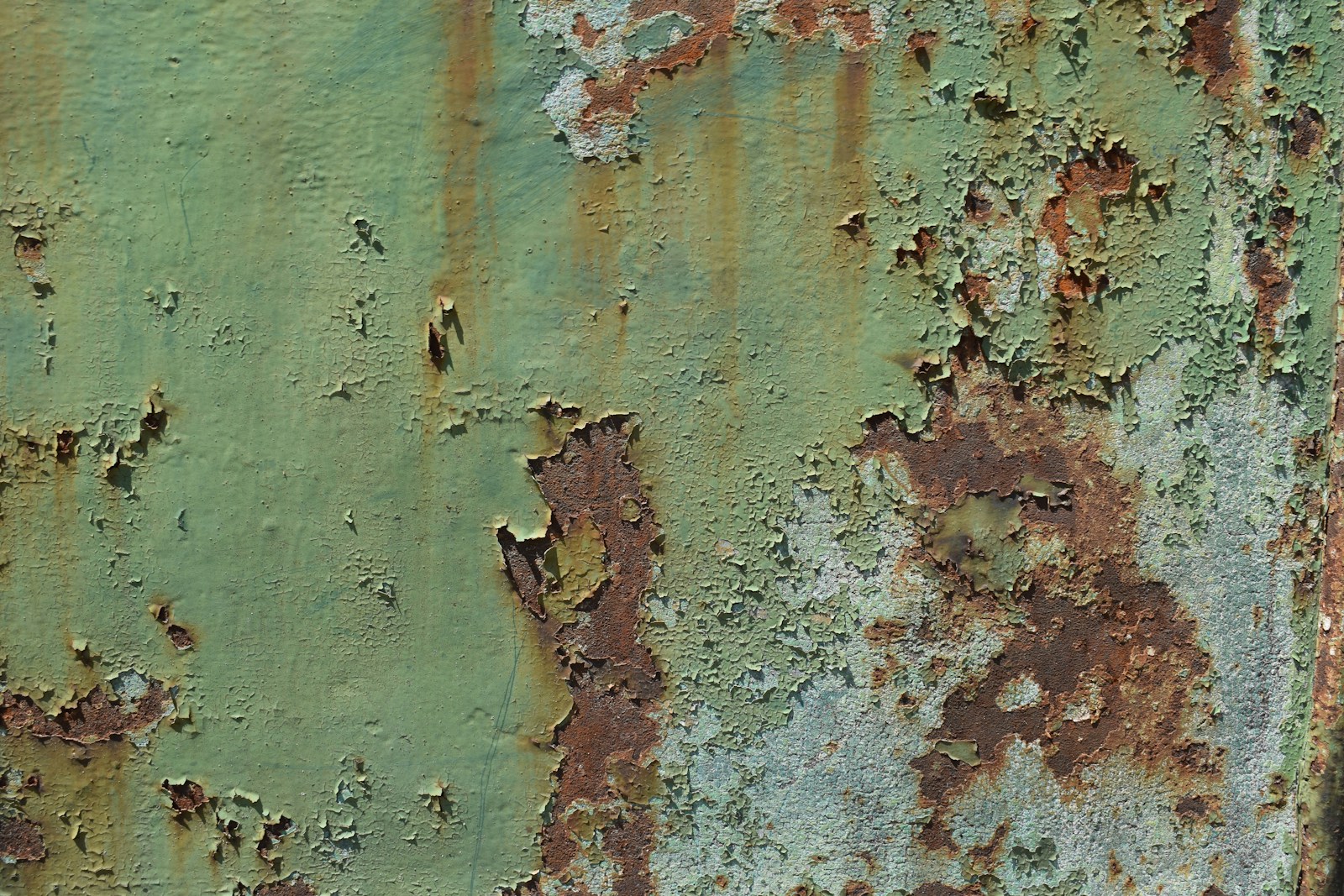 Mur vert sauge avec coussins en lin couleur rouille sur un fauteuil.