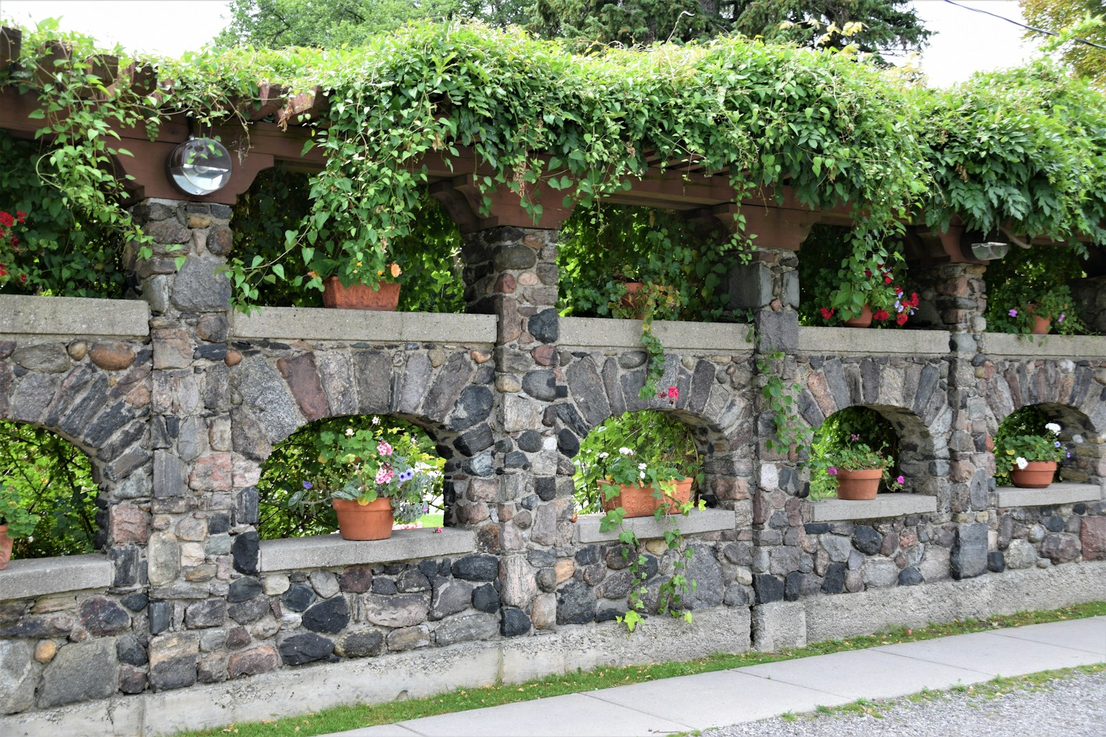 Plantes grimpantes couvrant un mur extérieur en pierre.