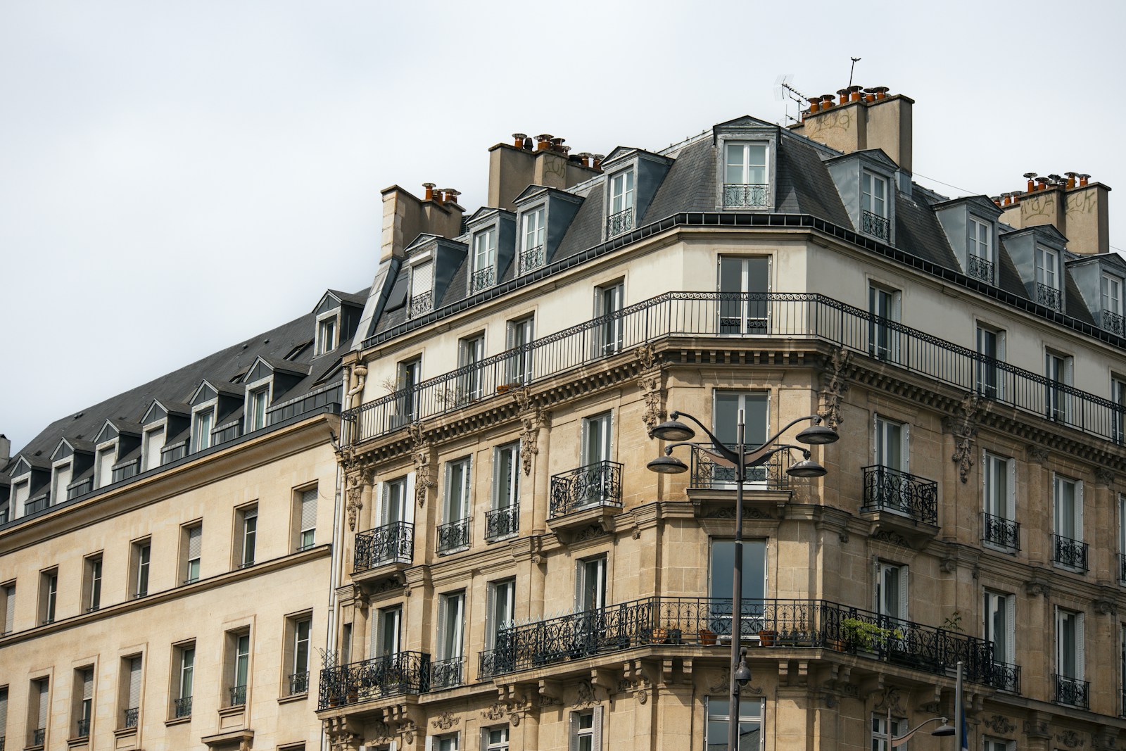 Rosace de plâtre et corniche moulurée au plafond d'un appartement ancien.