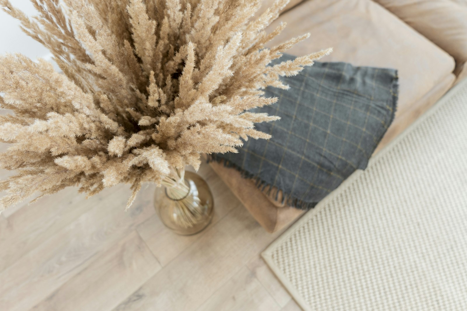 Vase en terracotta et coussin vert sauge dans un salon en camaïeu clair